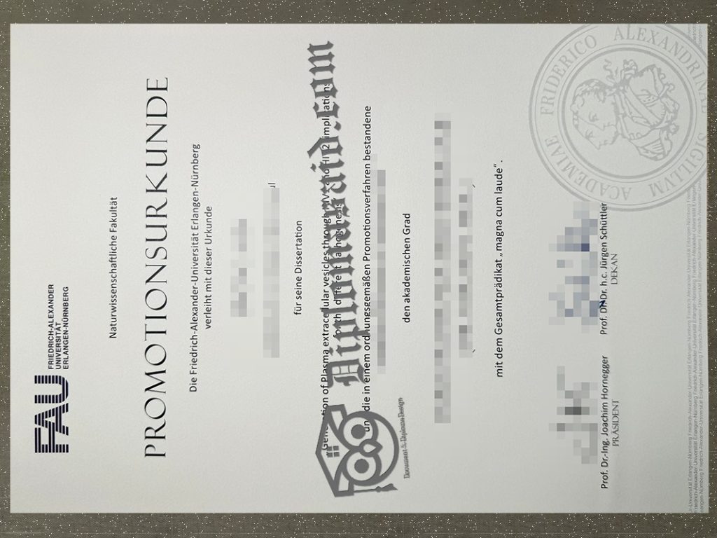 FAU Urkunde, University of Erlangen–Nuremberg Degree