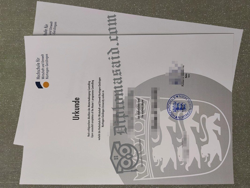 HFWU Urkunde, Nürtingen-Geislingen University Degree